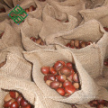 cheap price for Chinese shelled chestnuts